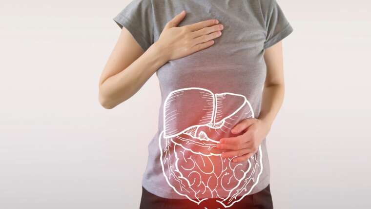 Cúrcuma e Saúde Digestiva: Melhore o Seu Bem-Estar Gastrointestinal