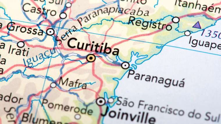 Cúrcuma de Curitiba: Especiaria brasileira com propriedades incríveis