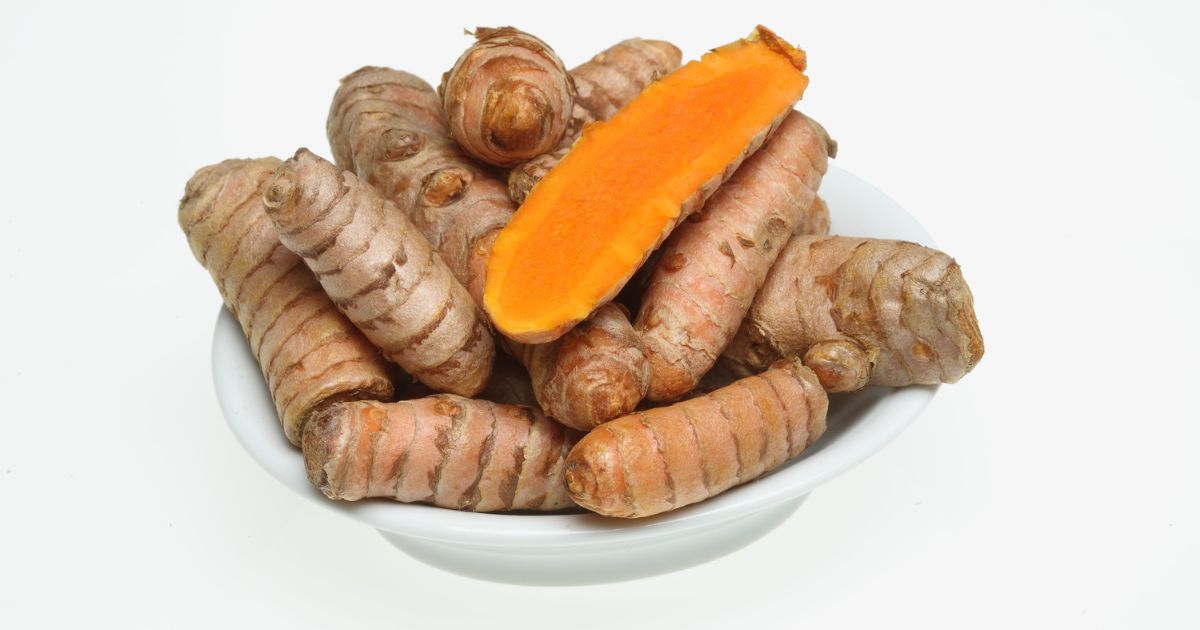 Extrato de curcuma longa para que serve