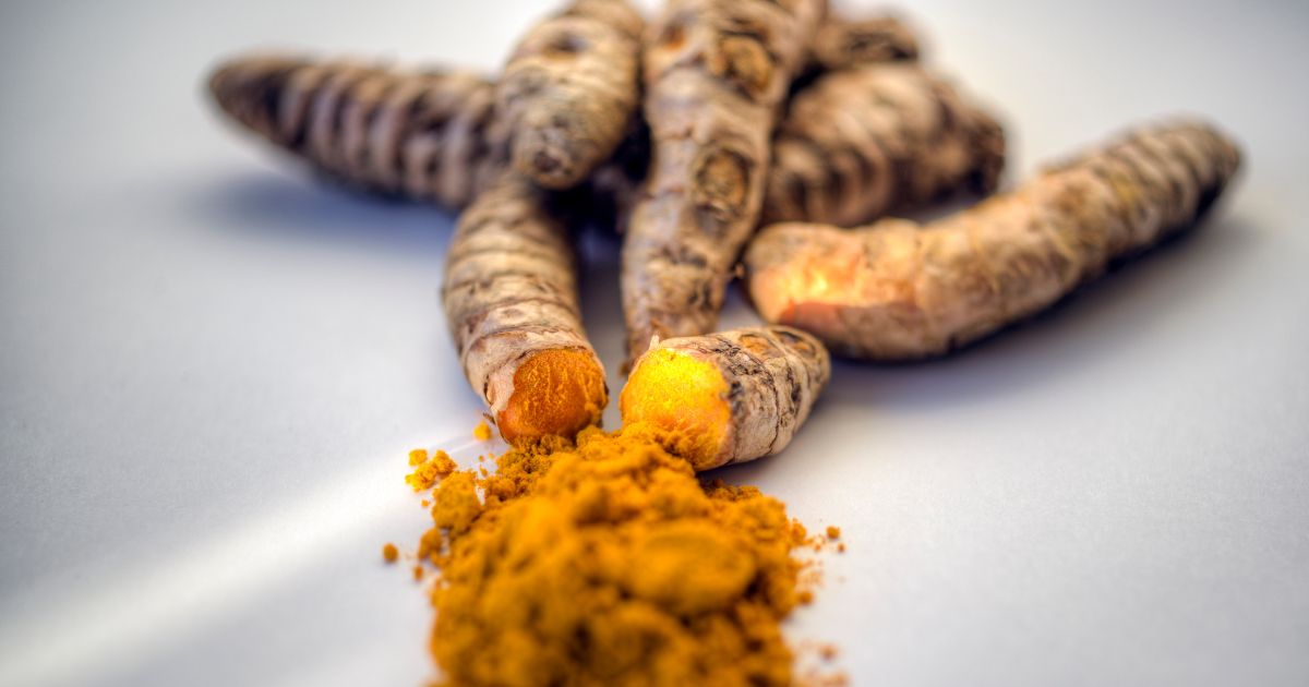 Benefícios da curcuma longa